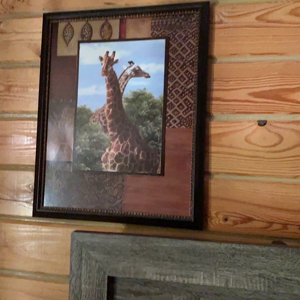Safari - Picture 3 of 6